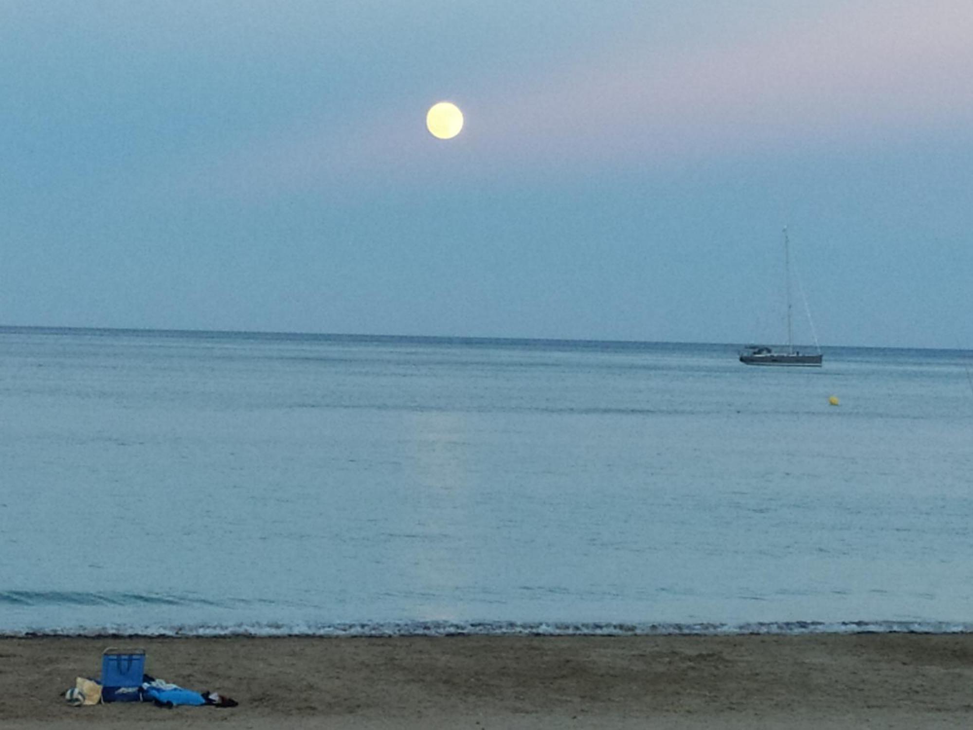 Estudio Reformado Cerca De La Playa, Ac, Wifi, Neftlix, Acepta Mascotas 칼페 외부 사진